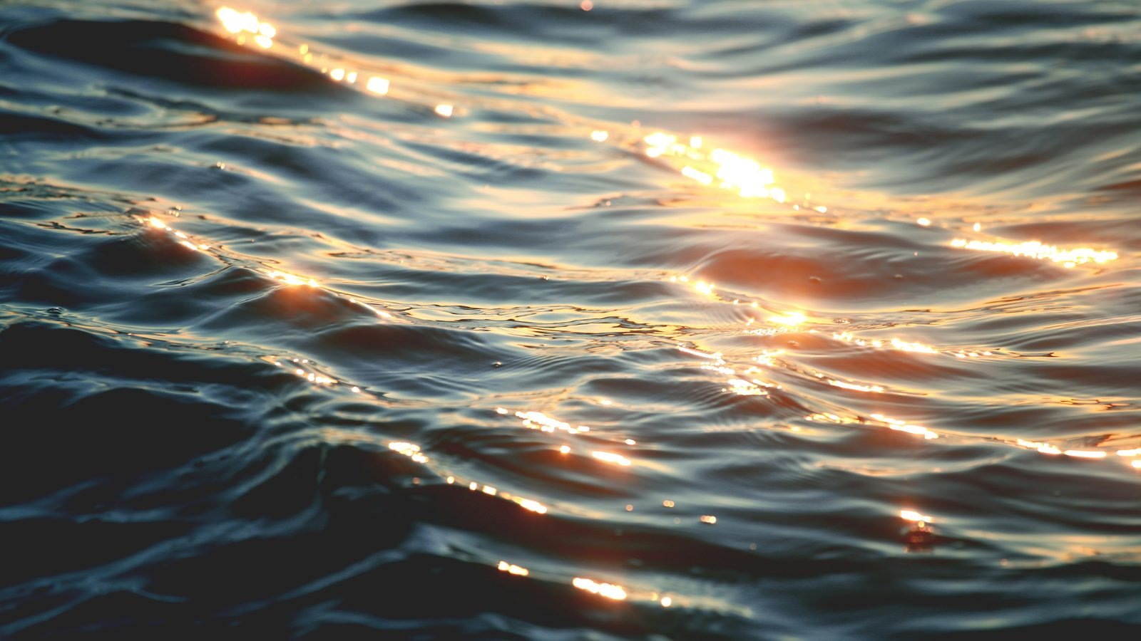 Late afternoon sunlight scattering across gently moving water